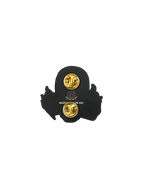 Back of enamel pin with two gold butterfly clutches